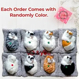 sainathsell Sleeping Cat Soft Toys with Sound for Car Dashboard,Office Desk,Home Decor item Decorative Showpiece - 18 cm image 3