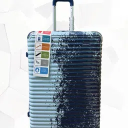 Trolley Bags-picture-35
