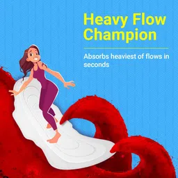 paree Dry Feel XL with Leakage Protection & Quick Absorbption Sanitary Pad image 3