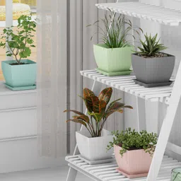 gajanan mart 7 inch Square Flower Pots Outdoor Indoor, Planters with Drainage Hole and Tray Plant Container Set image 4