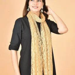 la feminae Net Self Design Beige Women Dupatta-picture-27
