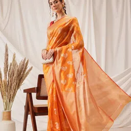 DIVASTRI Floral Zari Organza Banarasi Saree-picture-11