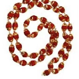 RAVIOUR LIFESTYLE Unisex Brown Necklace and Chains-picture-37
