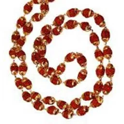 RAVIOUR LIFESTYLE Unisex Brown Necklace and Chains-image-50