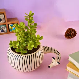 WEAVING HOMES Black & White Ceramic Zebra Planters image 3