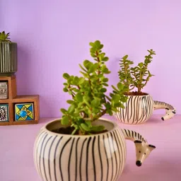 WEAVING HOMES Black & White Ceramic Zebra Planters image 4