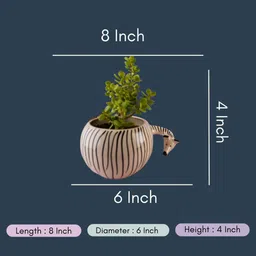 WEAVING HOMES Black & White Ceramic Zebra Planters image 2