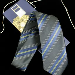 PELUCHE Men Black Striped Broad Tie-image-34