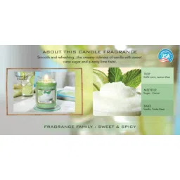 Yankee Candle Classic Small Jar Vanilla Lime Scented Candles image 3