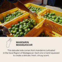 Victoria's Secret Bare Fine Fragrance Mist For Her image 4