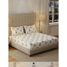 Urban Space Radiance White Cotton Bedsheet with 2 Pillow Covers (King) image 3