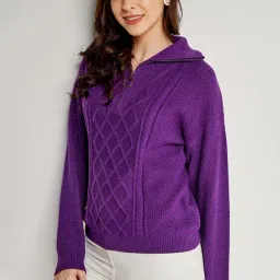 AND Purple Regular Fit Sweater-picture-24