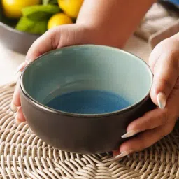 Pure Home and Living Blue Stoneware Crackle Glaze Serving Bowl (250 ml)-picture-47