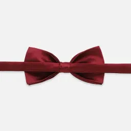 Van Heusen Maroon Acrylic Bow Tie image 2