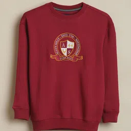 Allen Solly Junior Boys Embroidered Sweatshirt-image-35