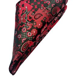 VOICI Red & Black Printed Pocket Square-picture-41