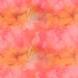 DESH BIDESH Organza Saree image 4