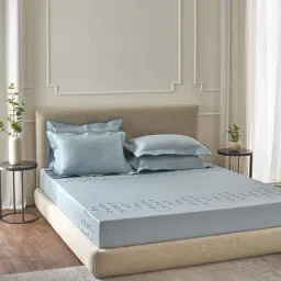 DDECOR Live beautiful Embroidery Iceberg Blue 210 TC Cotton King  Bedsheet with 2 Pillow Covers-image-98