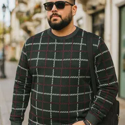 AUSTIVO Men Checked Pullover-image-34