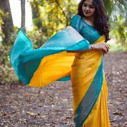 Aldwych Woven Design Zari Silk Blend Banarasi Saree-picture-23