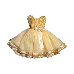 DRESS COLLECTION Georgette Fit & Flare Dress-picture-56