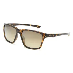 IDEE Brown Square Sunglasses for Men-picture-16