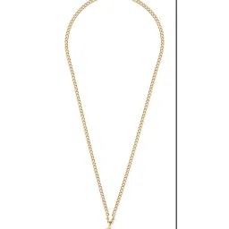 The Bro Code Gold Plated India Pendant Necklace for Men image 3