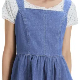 MIXXO Indigo Regular Fit Denim Mini Dress image 5