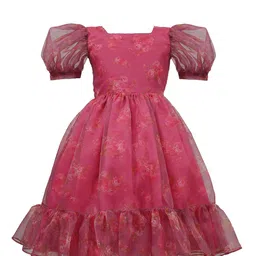 BAESD Girls Floral Printed Puff Sleeves Gathered Organza Fit & Flare Dress-picture-10