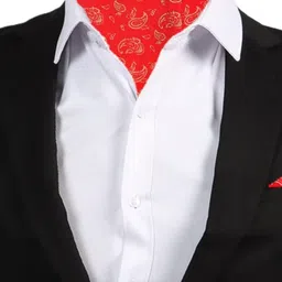 VOICI Men Paisley Printed Cravat image 3