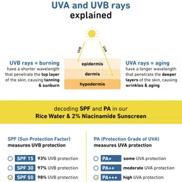 Plum Rice Water & Niacinamide Face Care Combo image 2