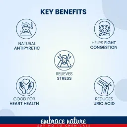 Nature Sure Tulsi Leaf Powder With Raw Honey - Pack Of 2 image 3