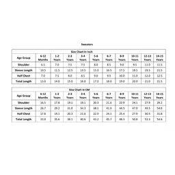 Femea Full Sleeves Solid Skivvy Sweater - Maroon image 2