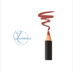 Pierre Cardin Paris Lipliner Pencil Waterproof 105 Burnt Rose - 0.4 gm image 2