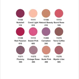 Pierre Cardin Paris Lipliner Pencil Waterproof 105 Burnt Rose - 0.4 gm image 3