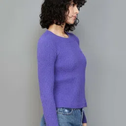 Ginger by Lifestyle Purple Self Pattern Sweater image 3