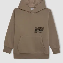 DeFacto Boys Printed Hooded Sweatshirt-picture-35