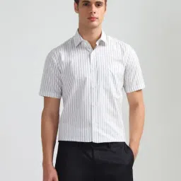 Arrow Grey Cotton Regular Fit Striped Shirt-picture-33