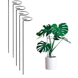 Go Hooked Black 5 Pieces Metal Plant Stakes-picture-12