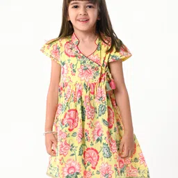 Babyhug Cotton Cambric Woven Half Sleeves Embroidered Dress with Floral Print - Yellow-picture-19