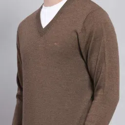 Monte Carlo Brown Regular Fit Pullover image 5