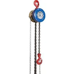 Indef 3000 Kg (3 Ton) 15 Mtr Chain Pulley Block P3-image-8