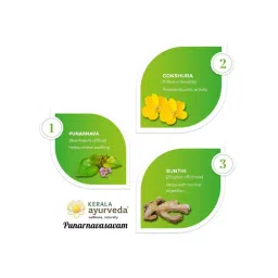 Kerala Ayurveda Punarnavasava image 4