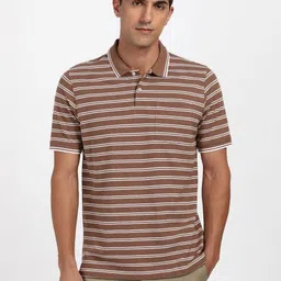 Peter England Men Striped Polo Collar Pure Cotton T-shirt-picture-55