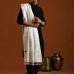 Tweedle Men Kashmiri Aari Embroidery Stole with Fringed Border image 3