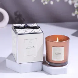 Jade Plant In Potpourri Vase With Scented Candle image 3