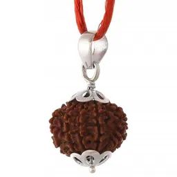 RAVIOUR LIFESTYLE Unisex Brown Pendant-image-57