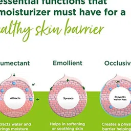 Koffeco Green Tea Chamomile Face Moisturizer - 100 ML image 2