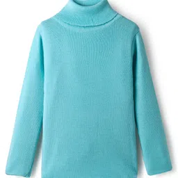 RVK Knit Full Sleeves Ribbed Skivvy Sweater - Sky Blue-picture-16