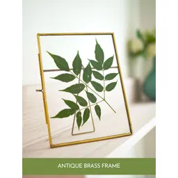 BEHOMA Gold-Toned Metal Table Photo Frame image 4